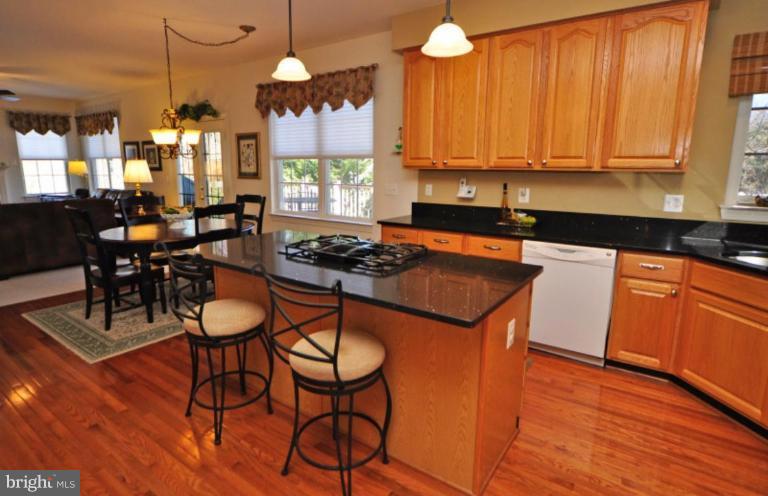 47686 Rhyolite Place Sterling, VA 20165 - Photo 8 of 26 Kitchen #2