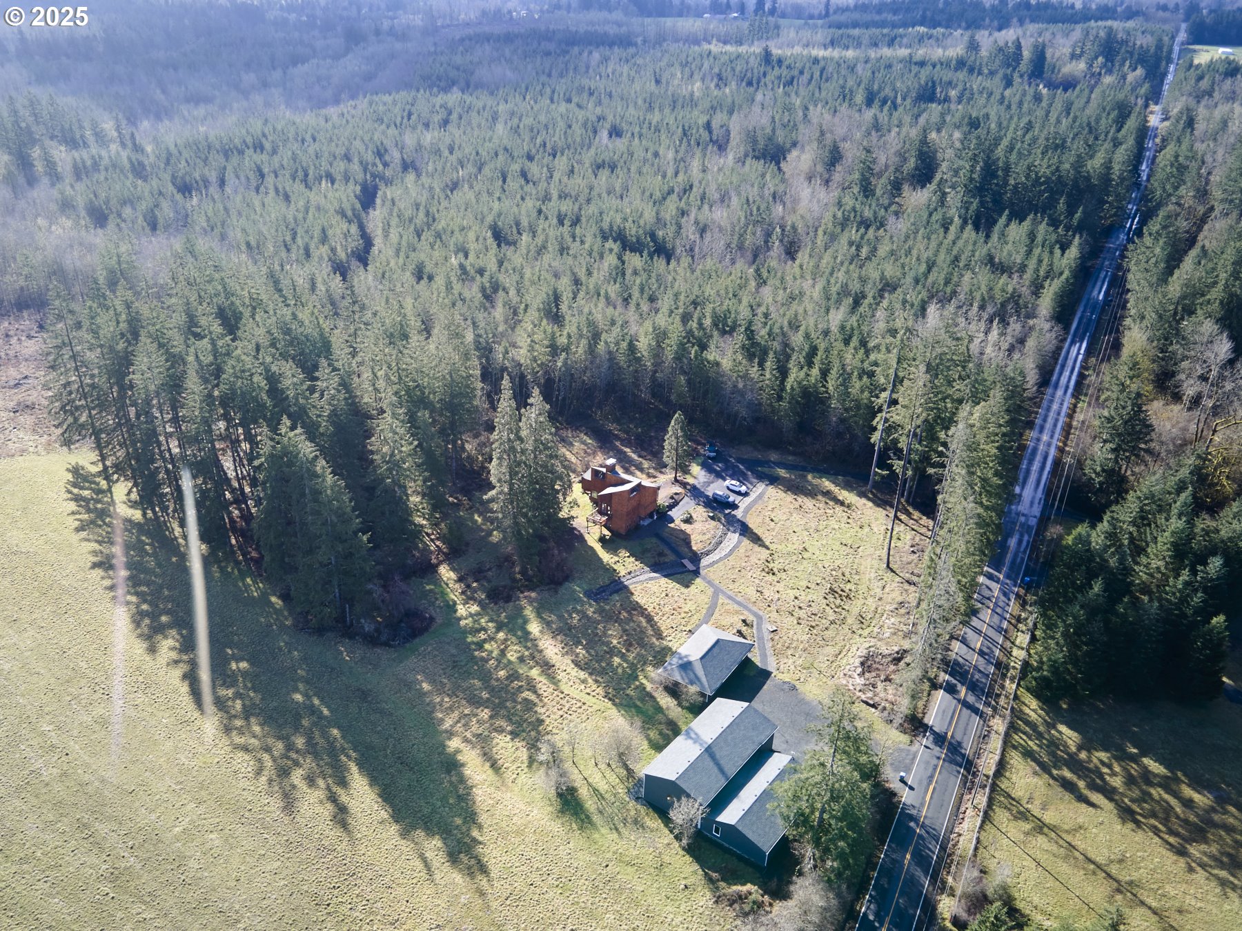 289 Classe Road Toledo, WA 98591 - Photo 2 of 48 a view of a forest with a yard