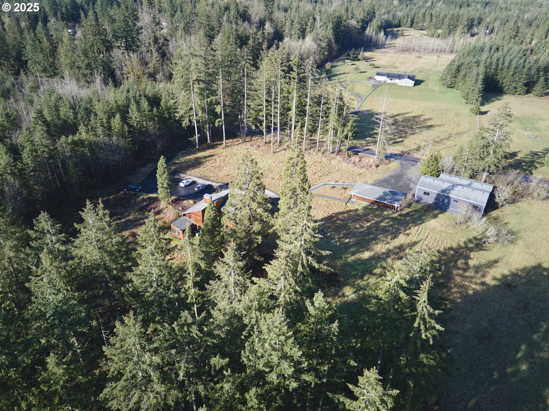289 Classe Road Toledo, WA 98591 - Photo 48 of 48 a view of a yard with a tree