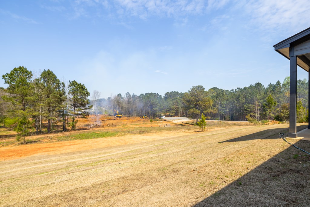 43 Lee Road Salem, AL 36874 - Photo 5 of 19 a view of an ocean and beach