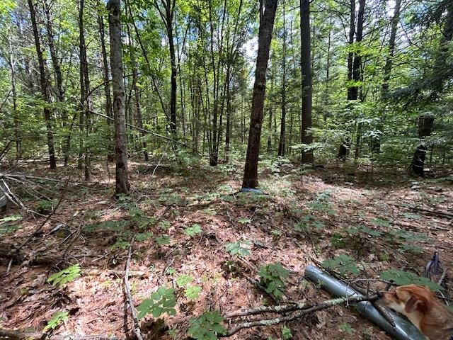 20 Delaney Road Epping, NH 03042 - Photo 10 of 12