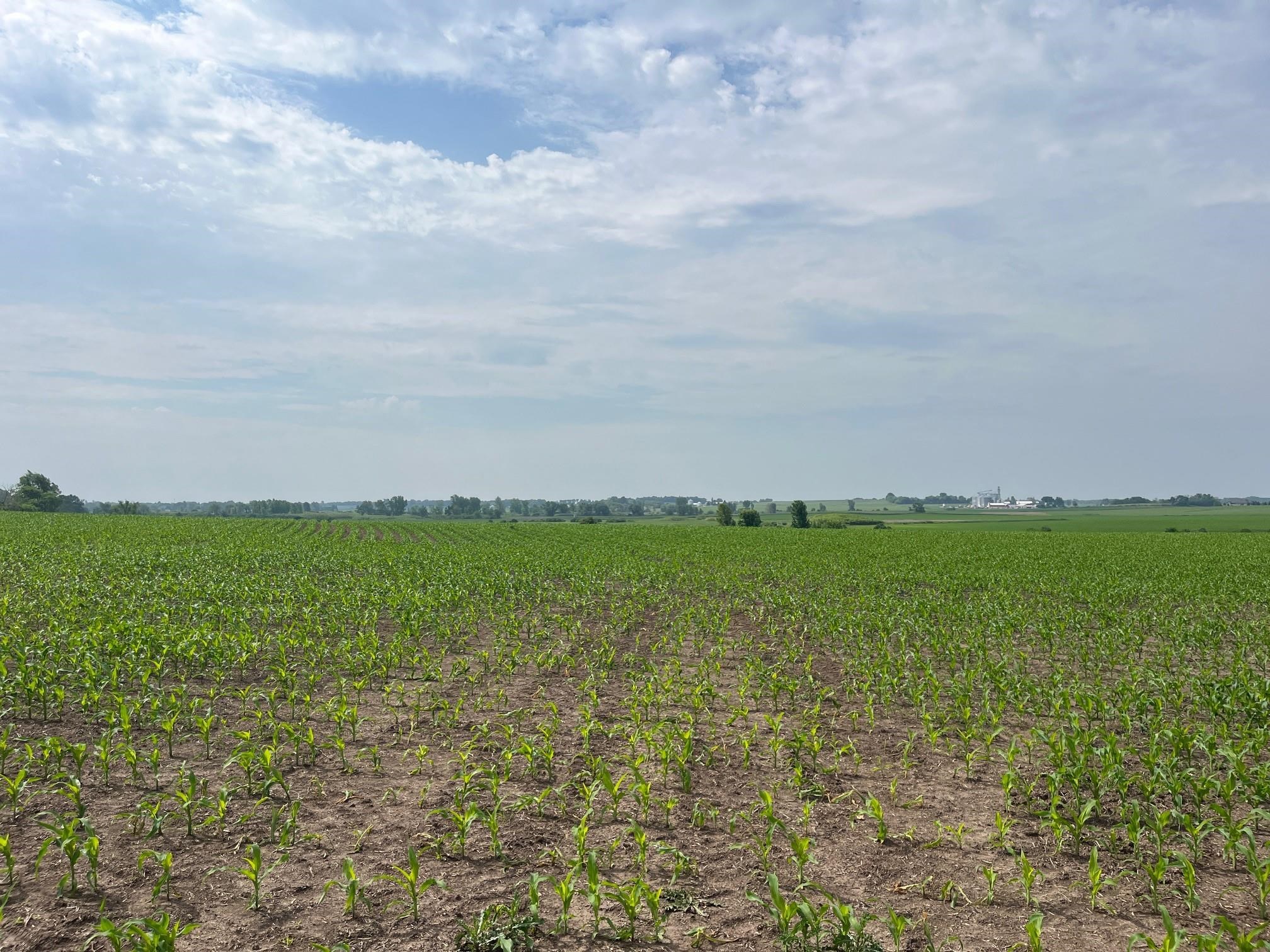 63-acres Meek Arlington, WI 53911 - Photo 1 of 13