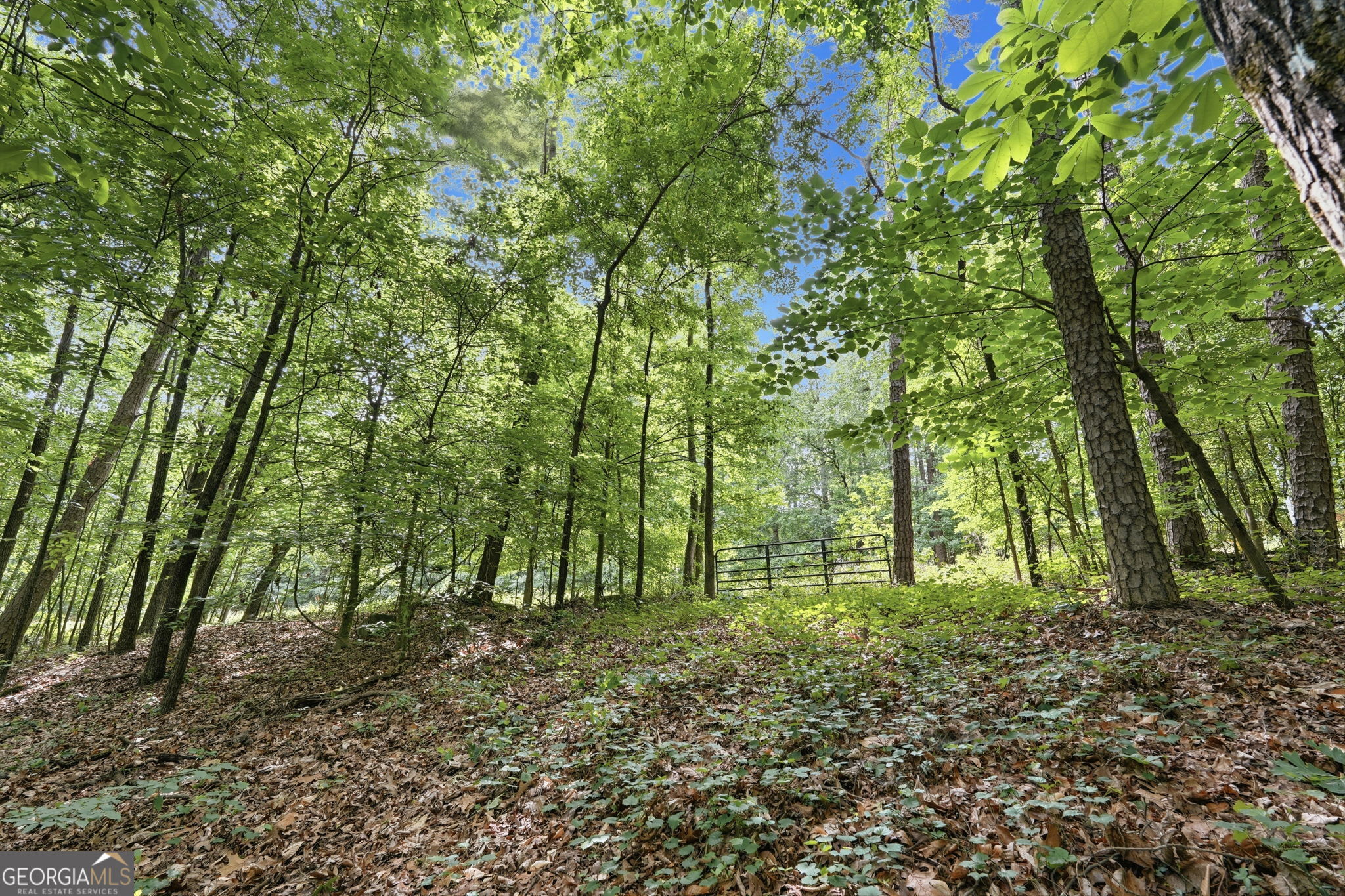 1504 Academy Church Road Jefferson, GA 30549 - Photo 16 of 21