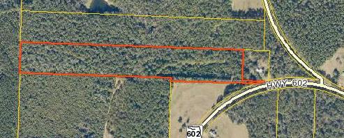 3055 Co Road Laurel Hill, FL 32567 - Photo 1 of 1 Gallery Image 1