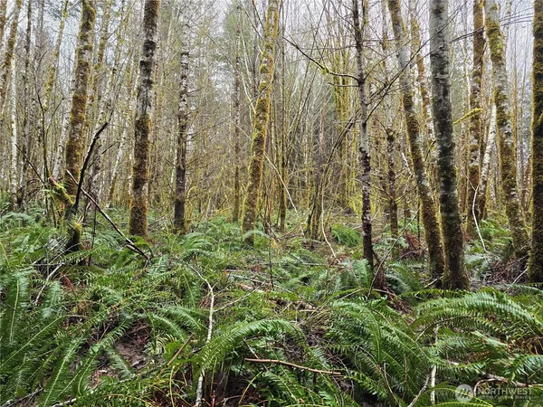 $99,000 | 4 West Elk Hill Road, Elma, WA 98541