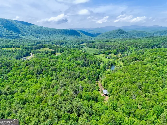 a view of a lush green forest with trees and some houses