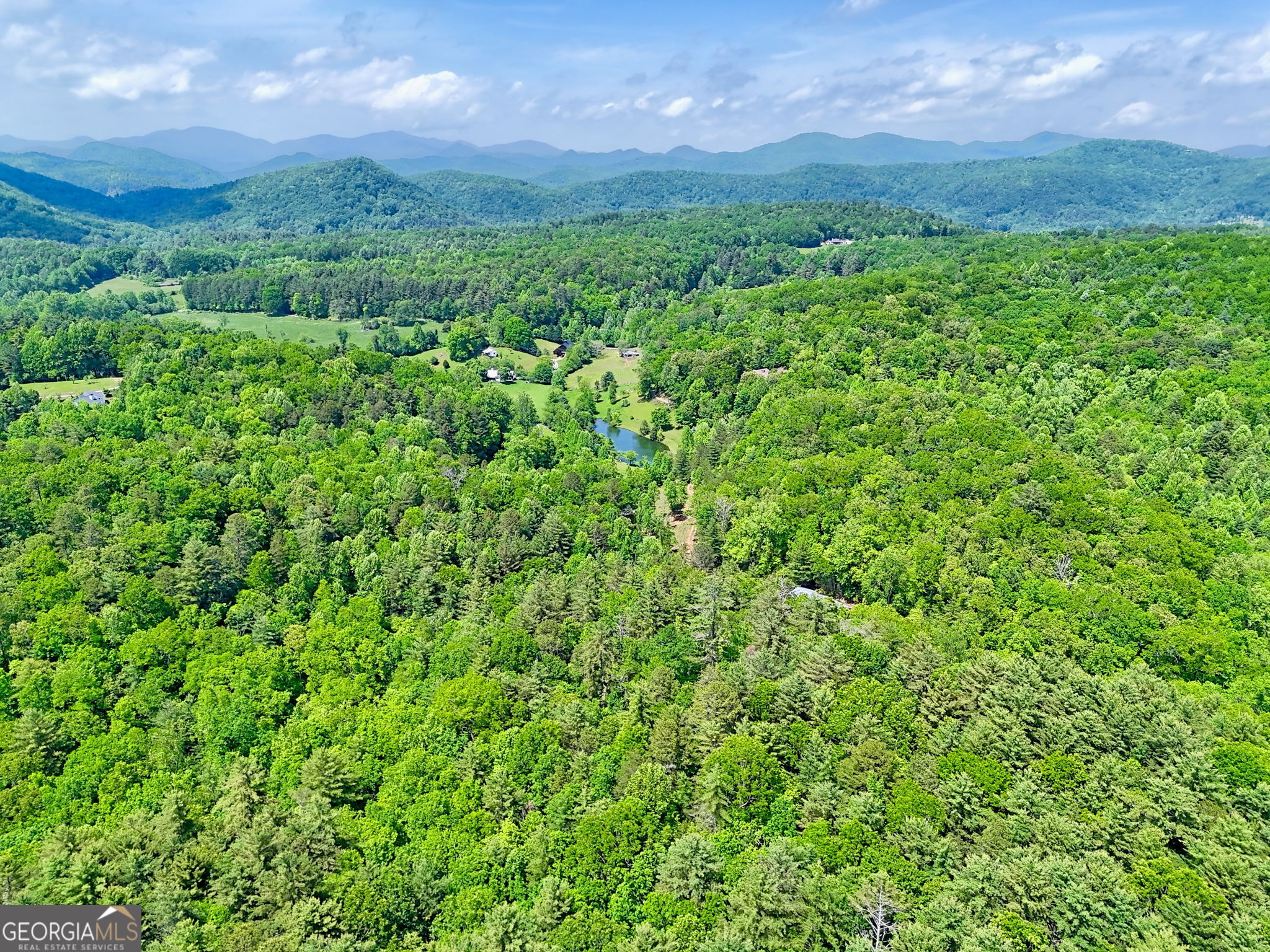 0 Peach Orchard Way Tiger, GA 30576 - Photo 13 of 27 a view of a lush green forest with lots of tall trees