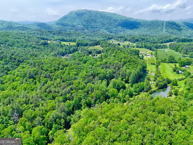 an aerial view of a houses with a lush green hillside