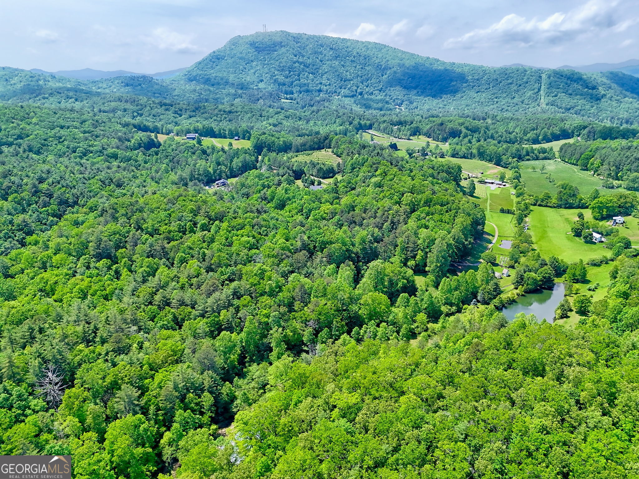 0 Peach Orchard Way Tiger, GA 30576 - Photo 15 of 27 a view of a lush green forest with trees in the background
