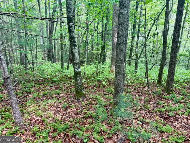 a view of outdoor space and garden
