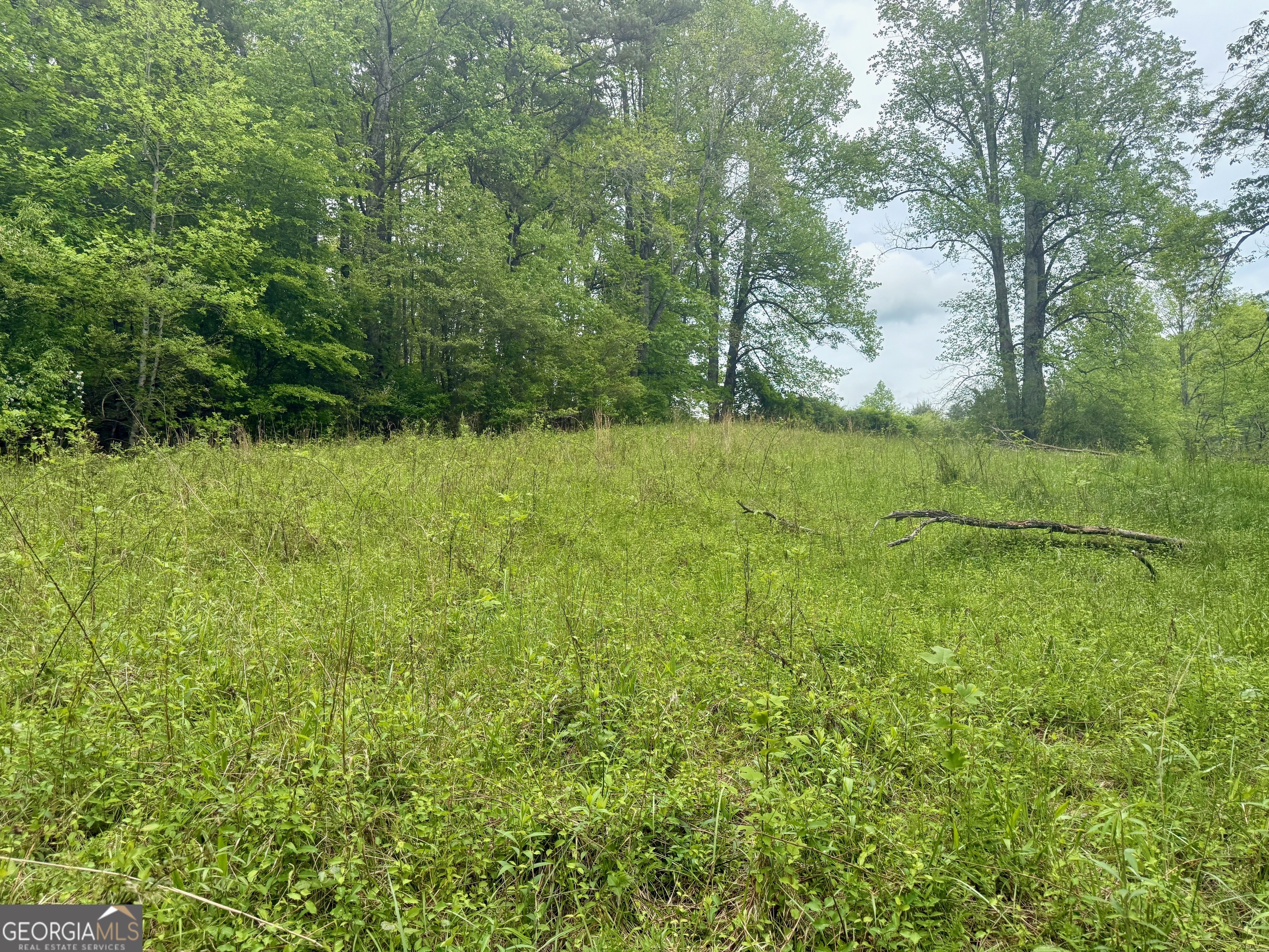 0 Peach Orchard Way Tiger, GA 30576 - Photo 22 of 27 a view of a lush green outdoor space