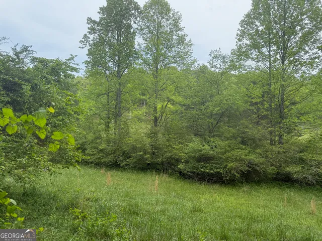 a view of a lake with a yard