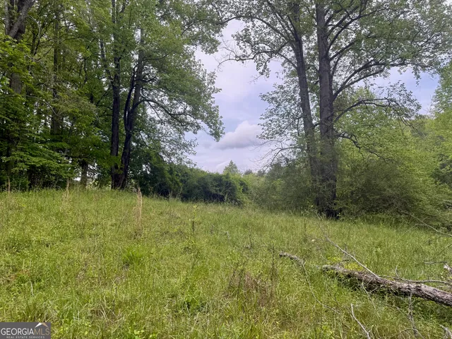 a view of a lush green forest with a house