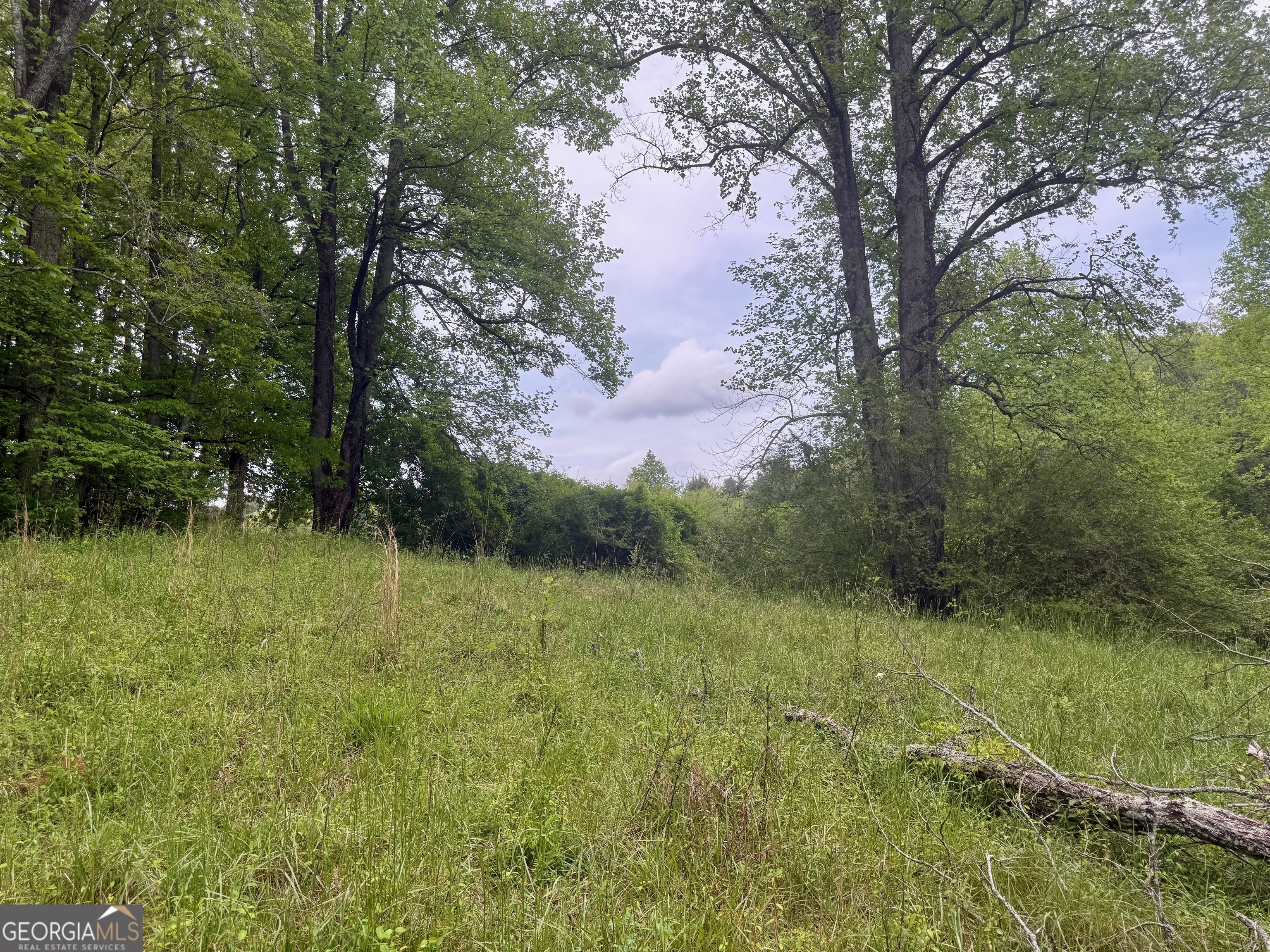 0 Peach Orchard Way Tiger, GA 30576 - Photo 26 of 27 a view of a lush green space