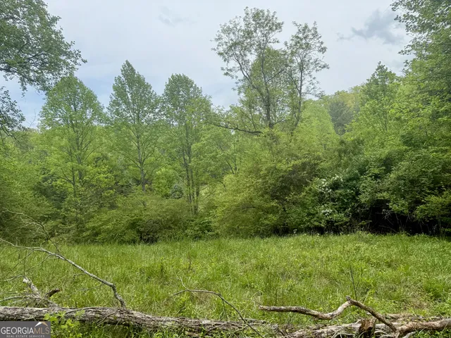 $399,000 | 0 Peach Orchard Way, Tiger, GA 30576