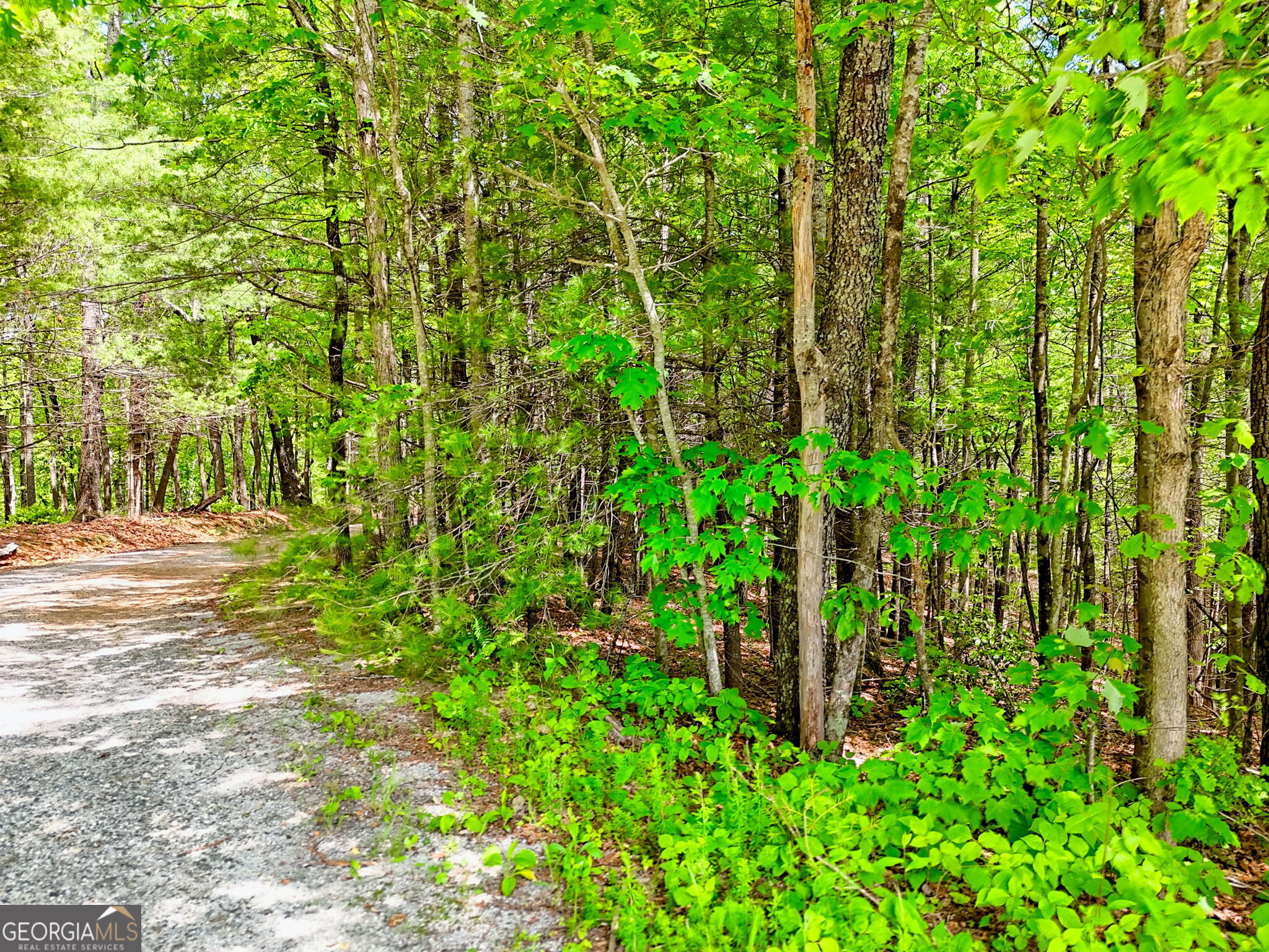 0 Peach Orchard Way Tiger, GA 30576 - Photo 4 of 27 a view of a garden with plants