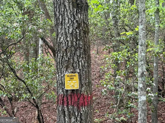 a sign board with a tree in the background