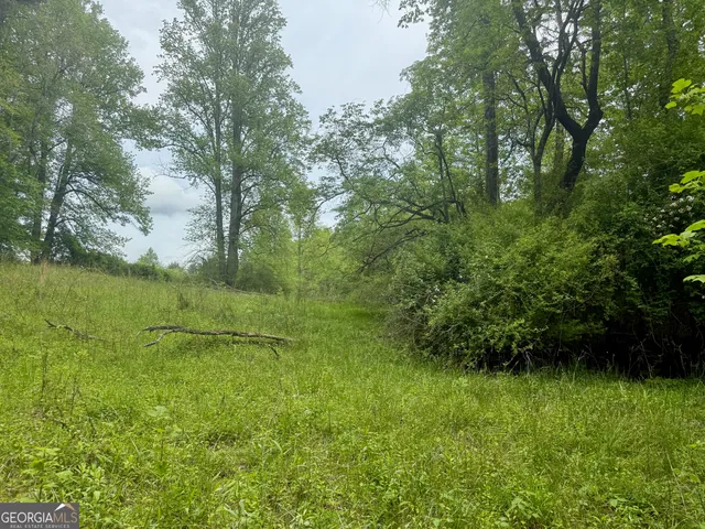 a view of a lush green space and lake view