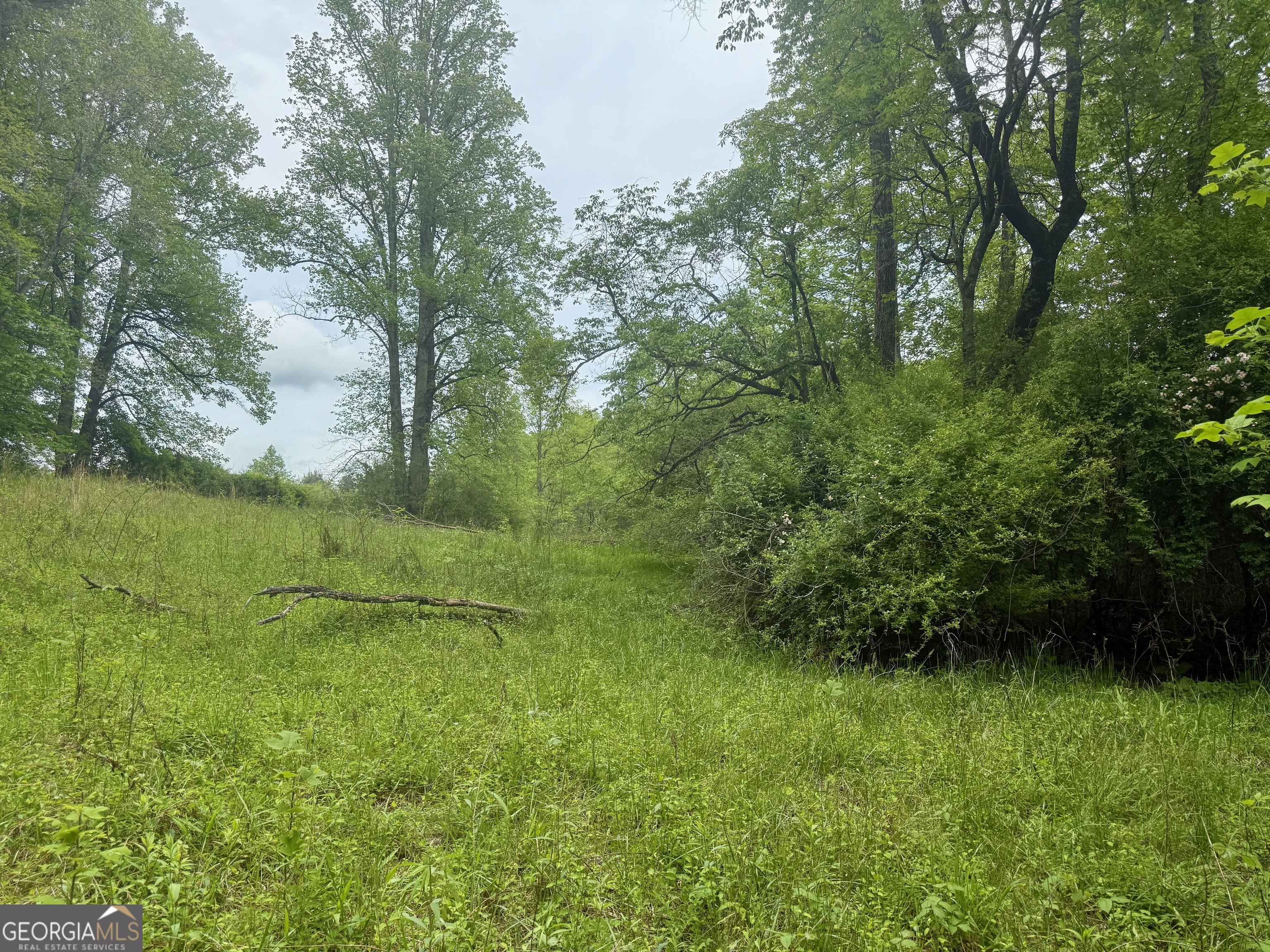 0 Peach Orchard Way Tiger, GA 30576 - Photo 6 of 27 a view of a lush green space and lake view