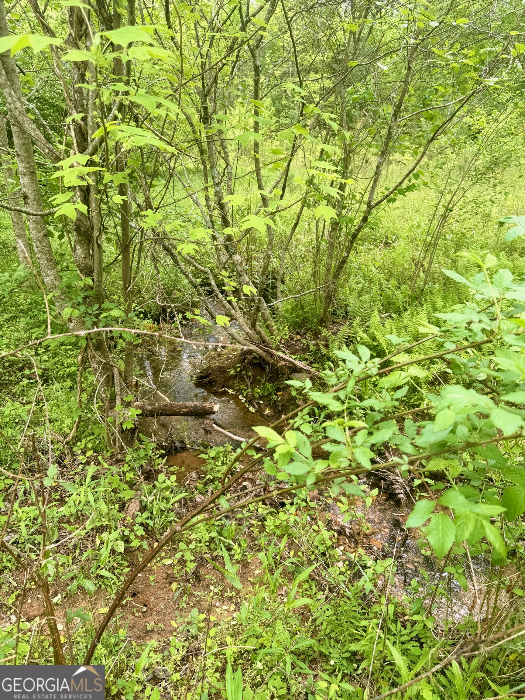 0 Peach Orchard Way Tiger, GA 30576 - Photo 7 of 27 a view of a yard with a tree