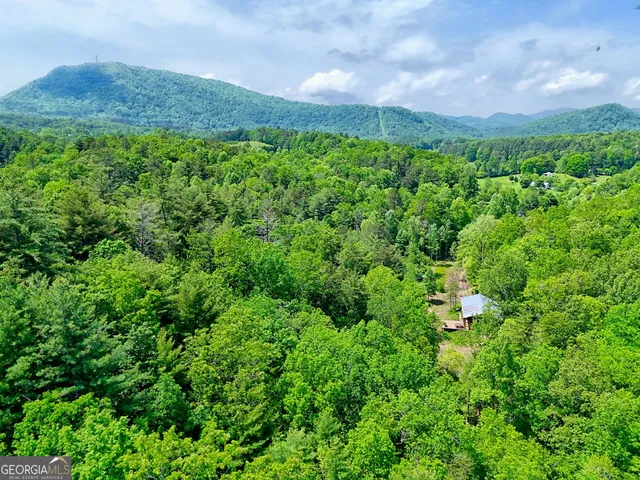 a view of a lush green field with lots of green space