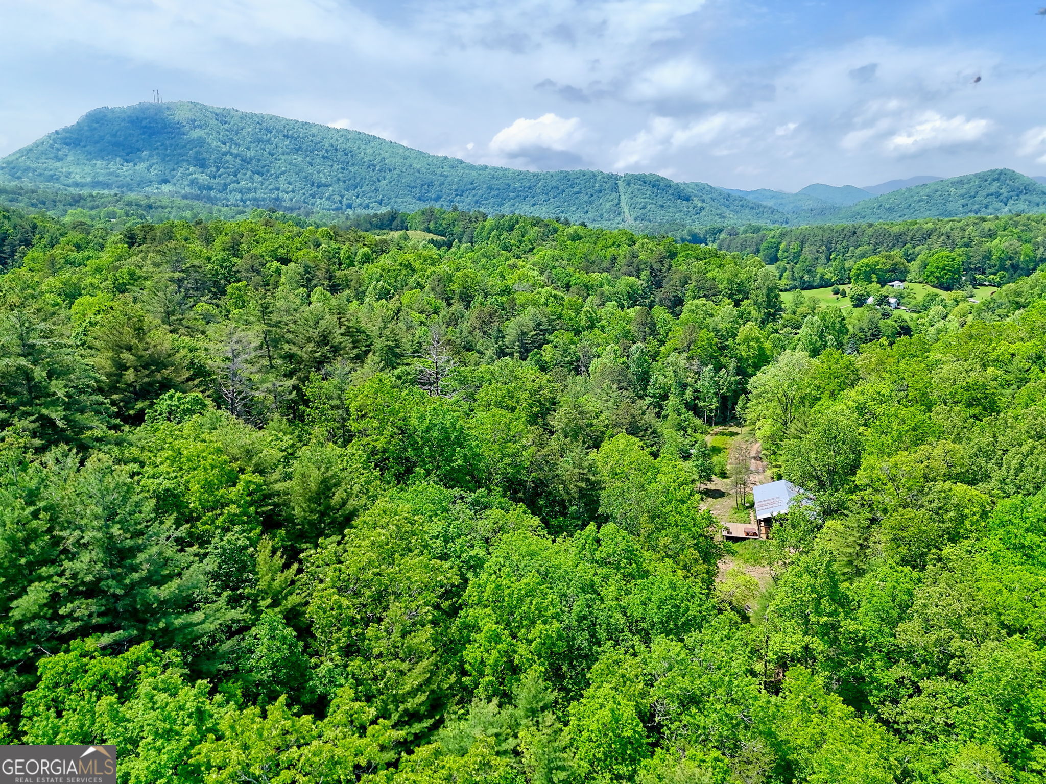 0 Peach Orchard Way Tiger, GA 30576 - Photo 9 of 27 a view of a lush green field with lots of green space