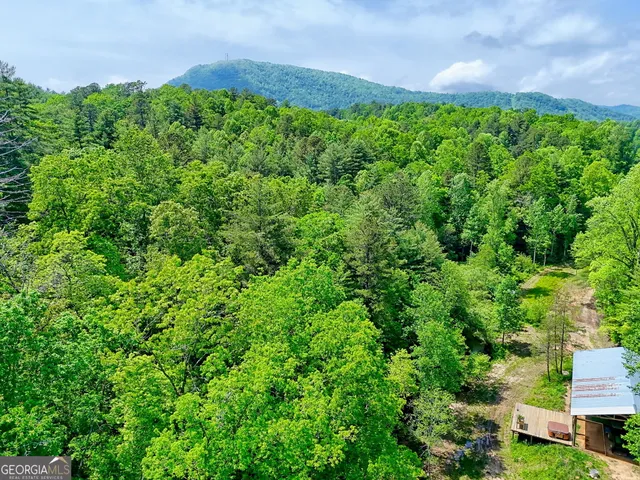 a view of a city with lush green forest