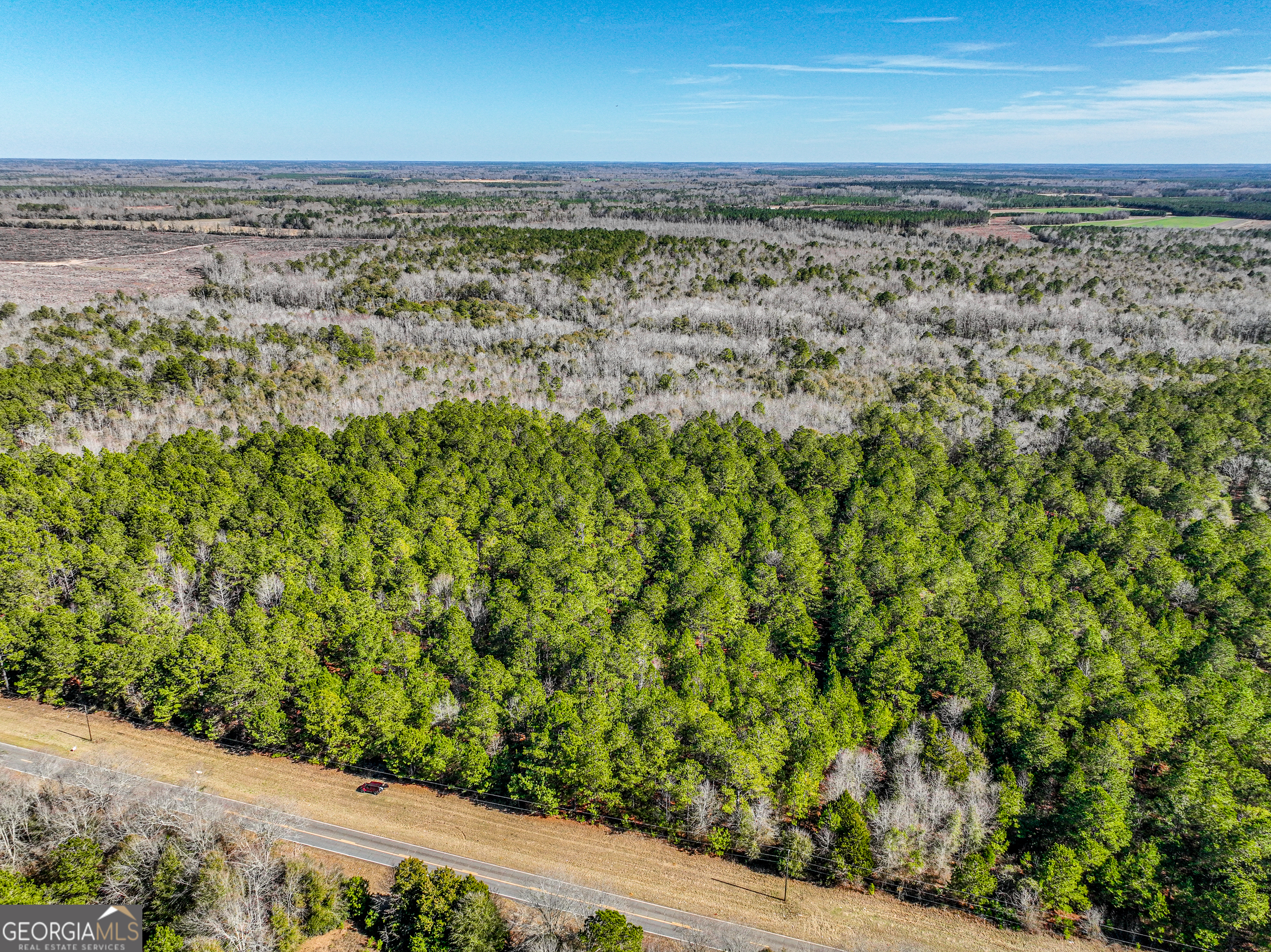0 Buckeye Road Tennille, GA 31089 - Photo 12 of 13