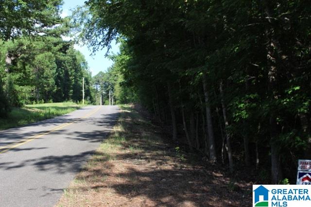 1 Benefield Gap Road Attalla, AL 35954 - Photo 3 of 50