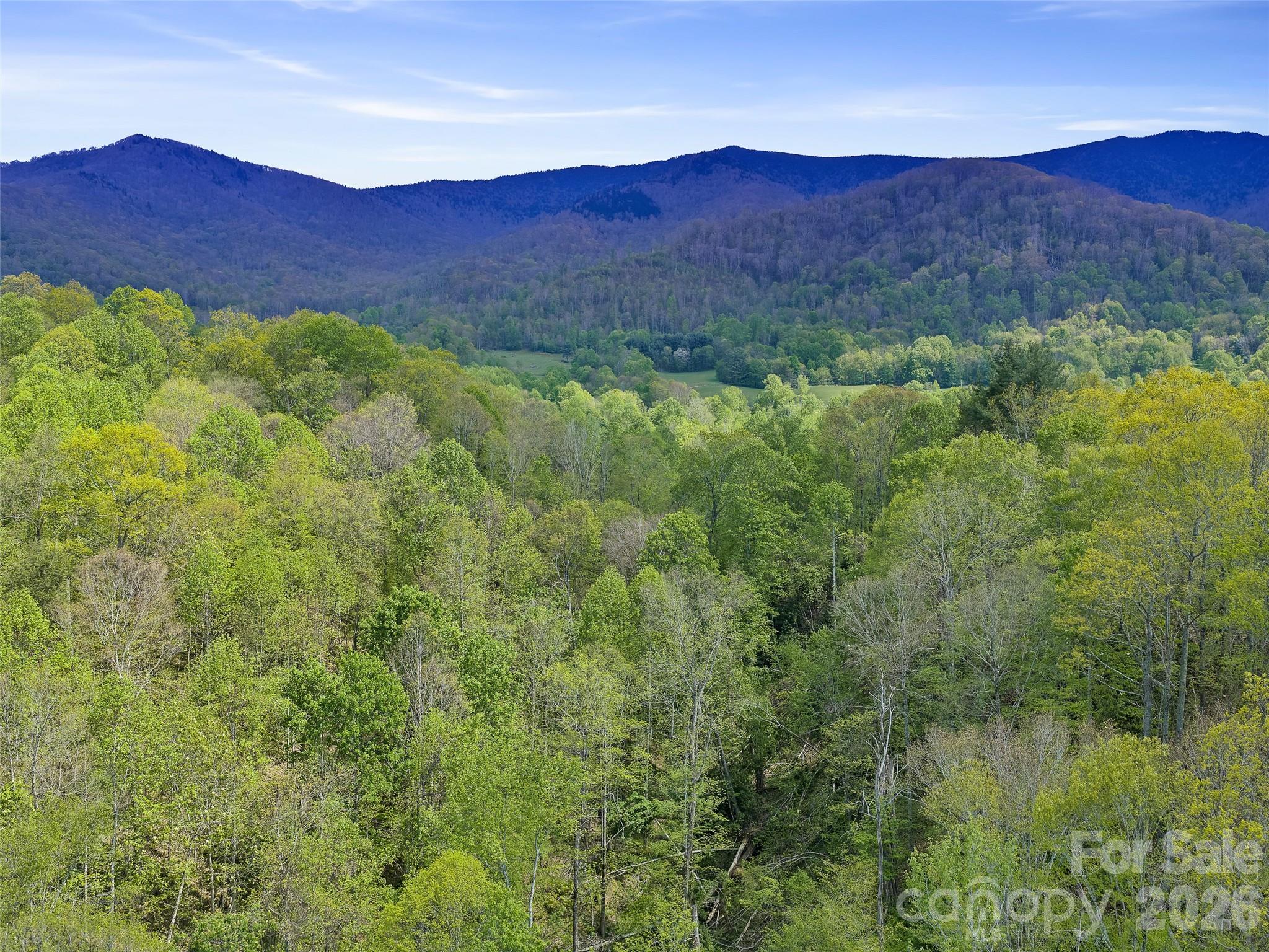 0 Odoms Chapel Road Bakersville, NC 28705 - Photo 20 of 31 a view of a lush green hillside and a houses