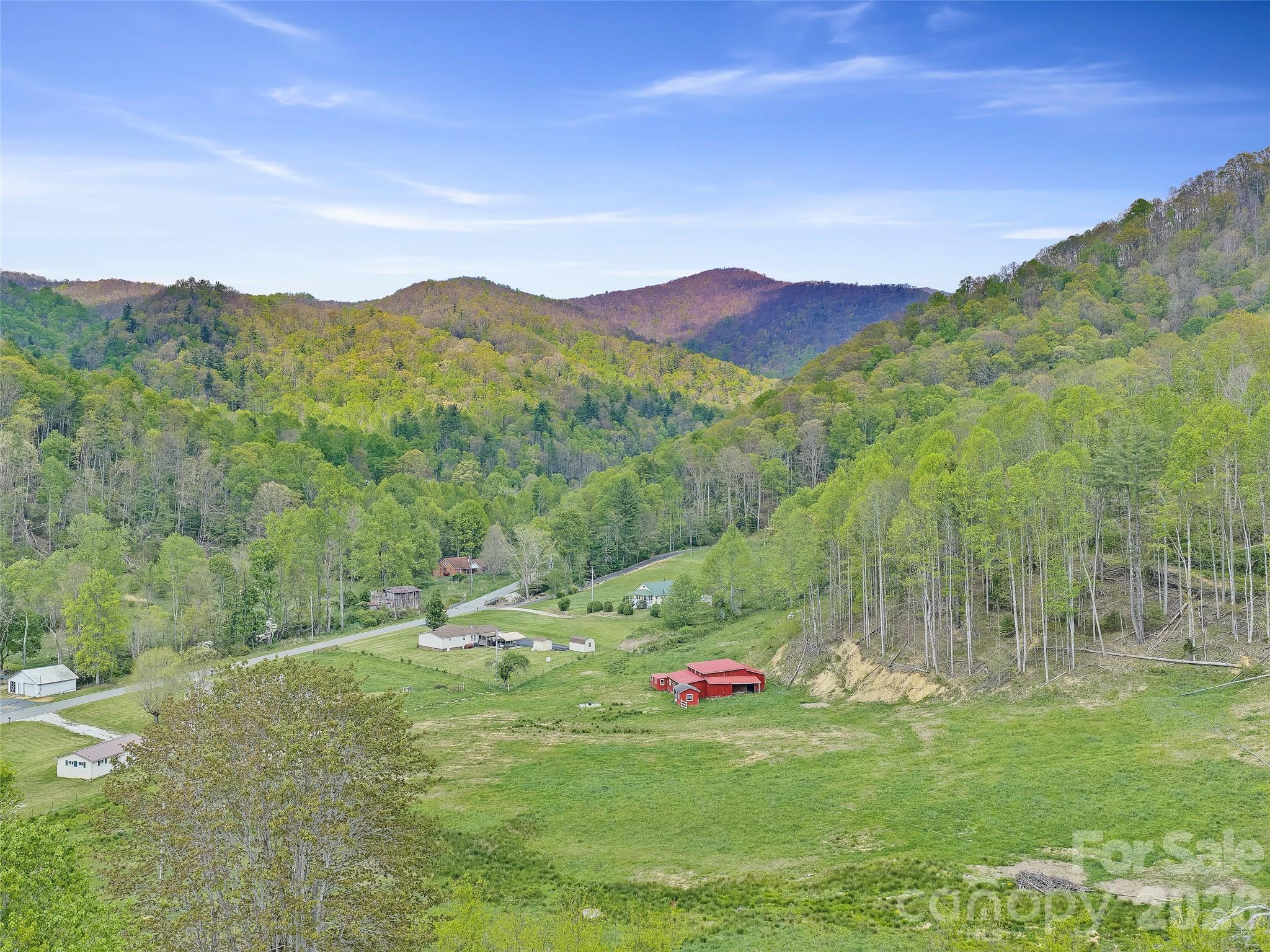 0 Odoms Chapel Road Bakersville, NC 28705 - Photo 23 of 31 a view of a lush green field with mountains in the background
