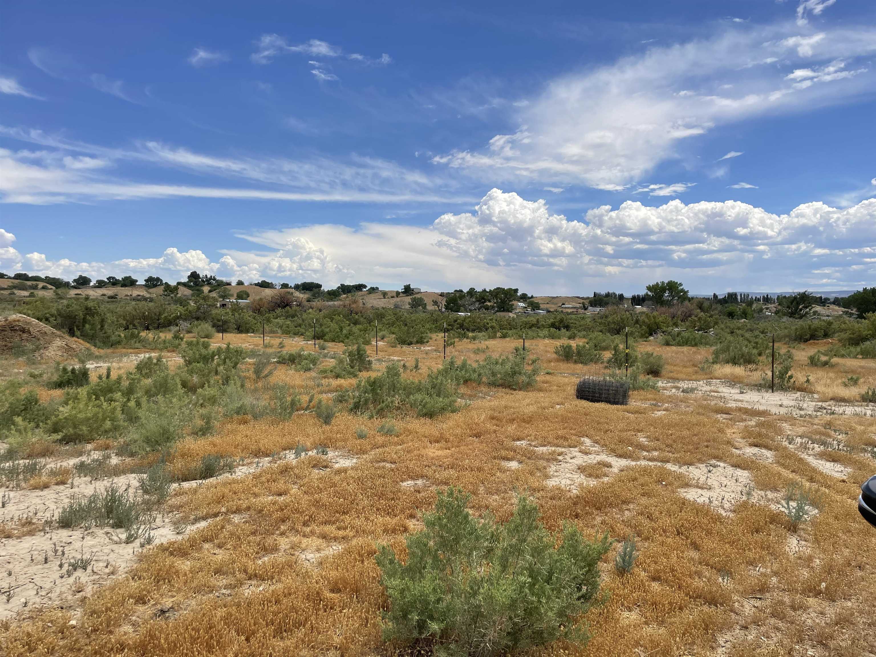 977 R Road Mack, CO 81525 - Photo 7 of 10