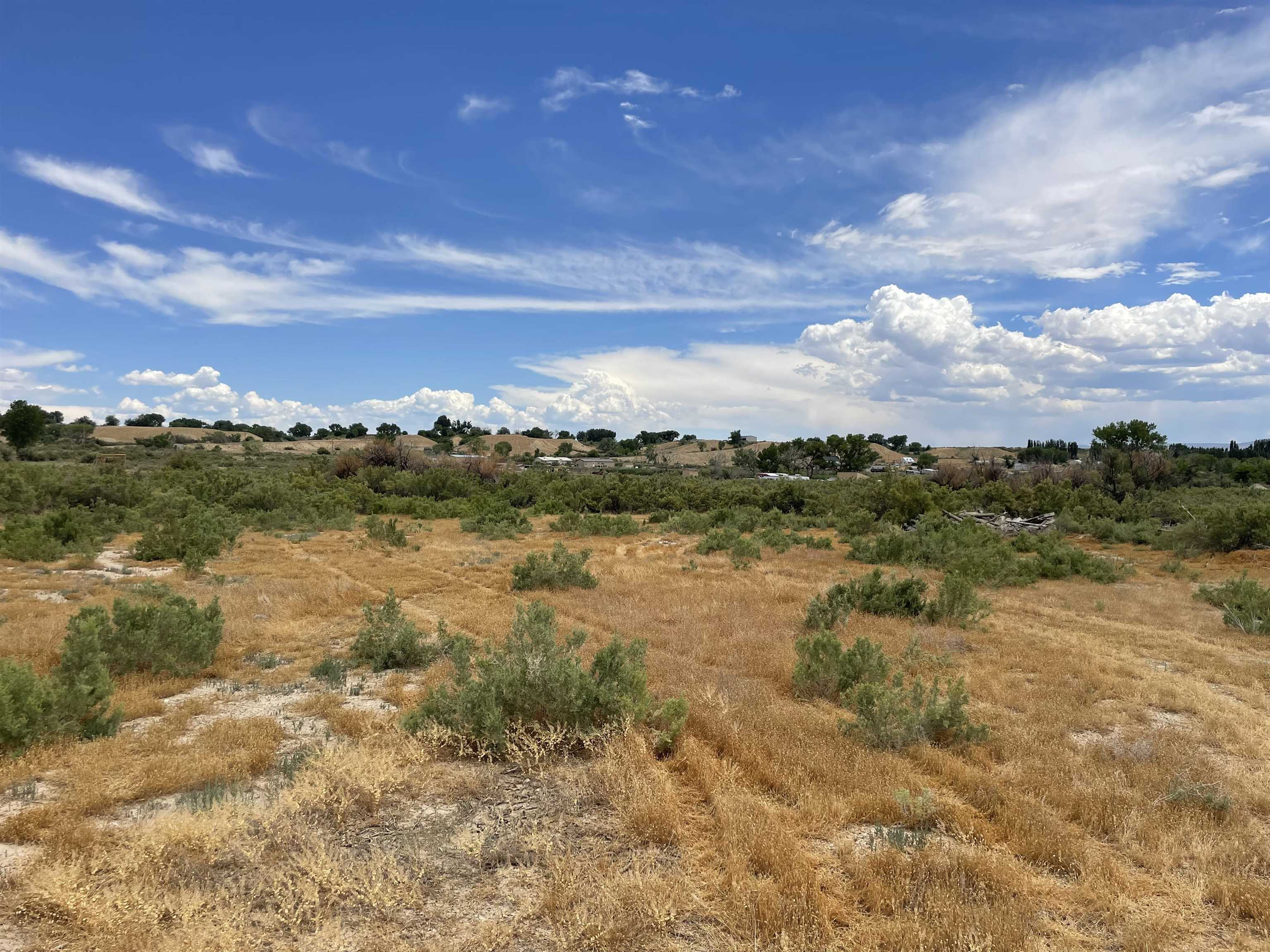 977 R Road Mack, CO 81525 - Photo 8 of 10