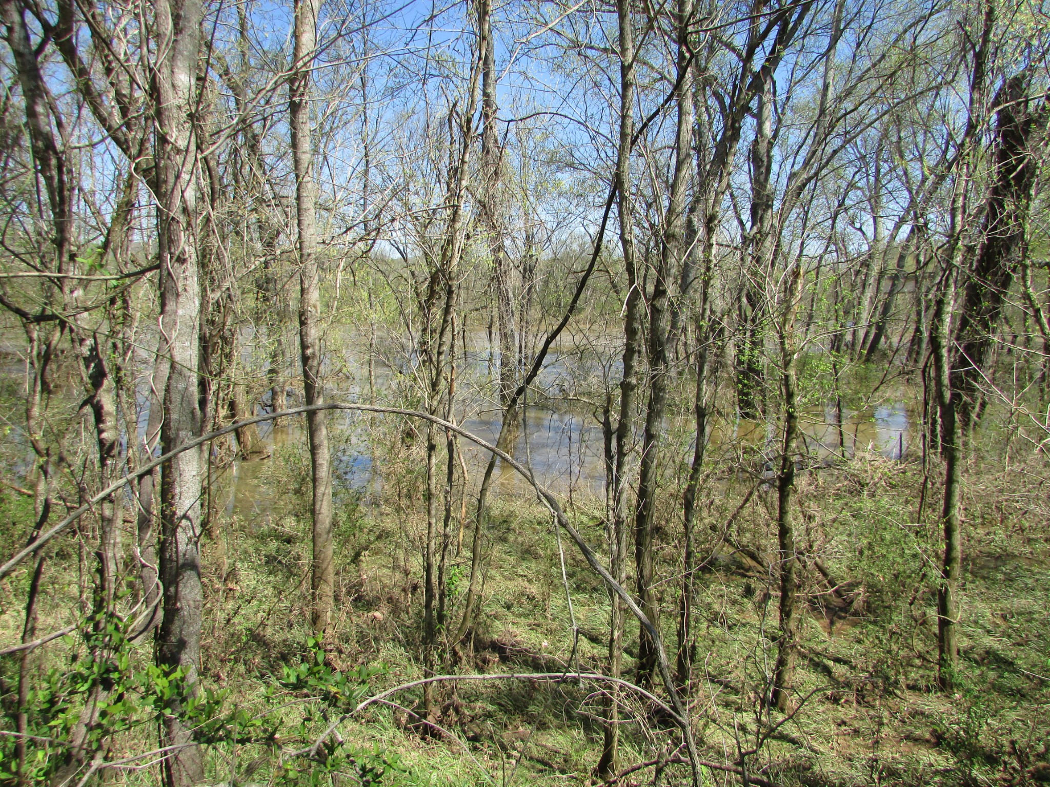 0 Mayberry Road Duck River, TN 38454 - Photo 2 of 10 Gallery Image 2