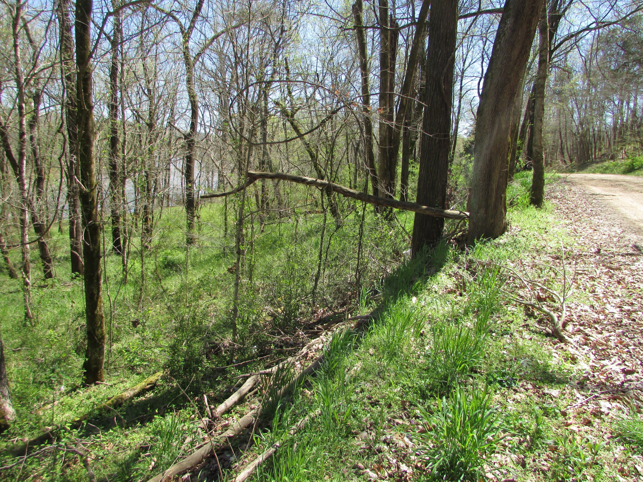 0 Mayberry Road Duck River, TN 38454 - Photo 3 of 10 Gallery Image 3