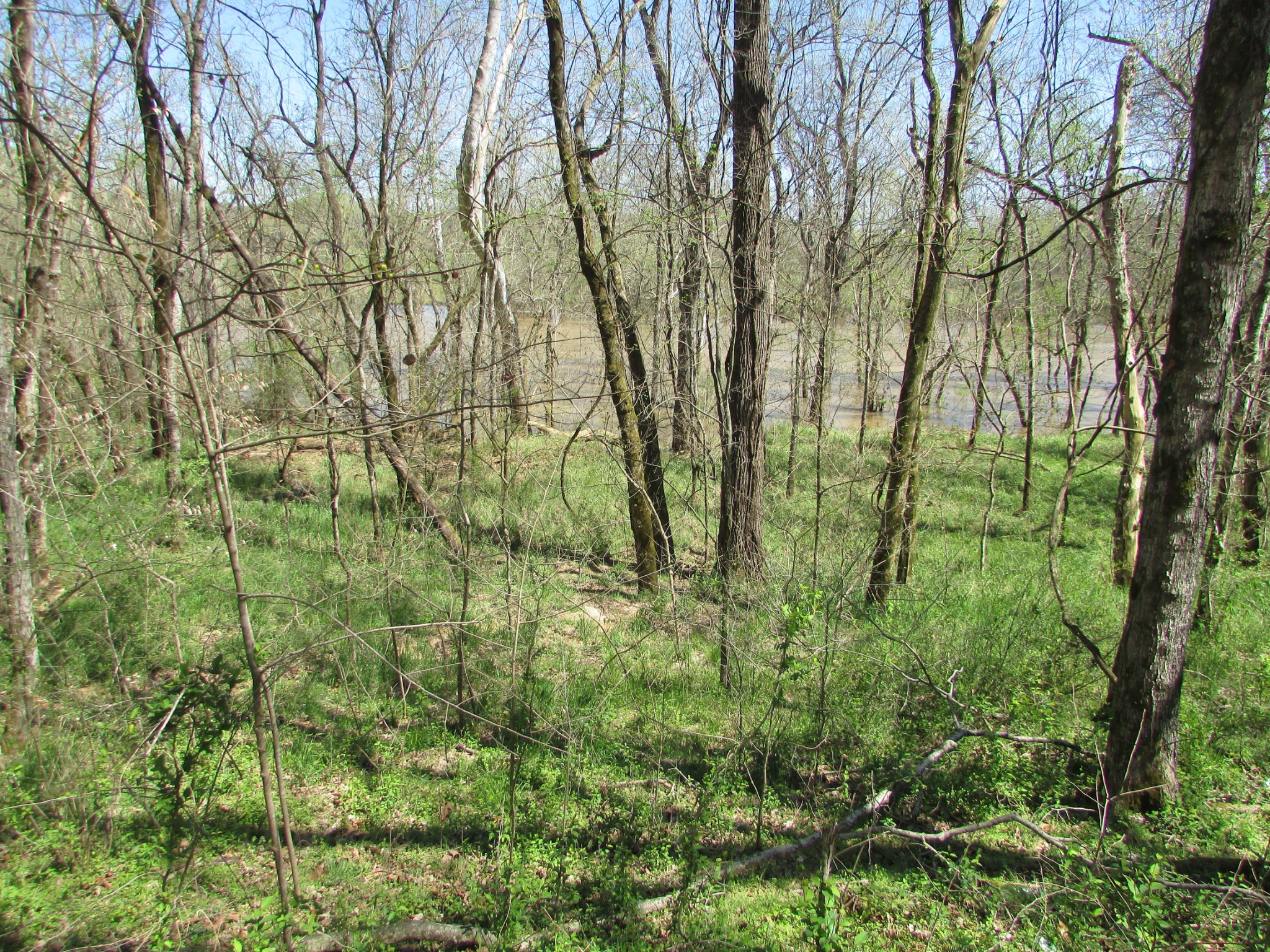 0 Mayberry Road Duck River, TN 38454 - Photo 5 of 10 Gallery Image 5