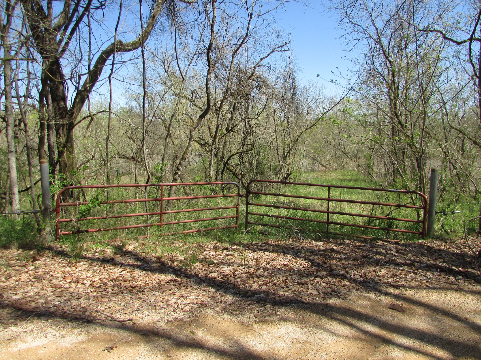 0 Mayberry Road Duck River, TN 38454 - Photo 6 of 10 Gallery Image 6