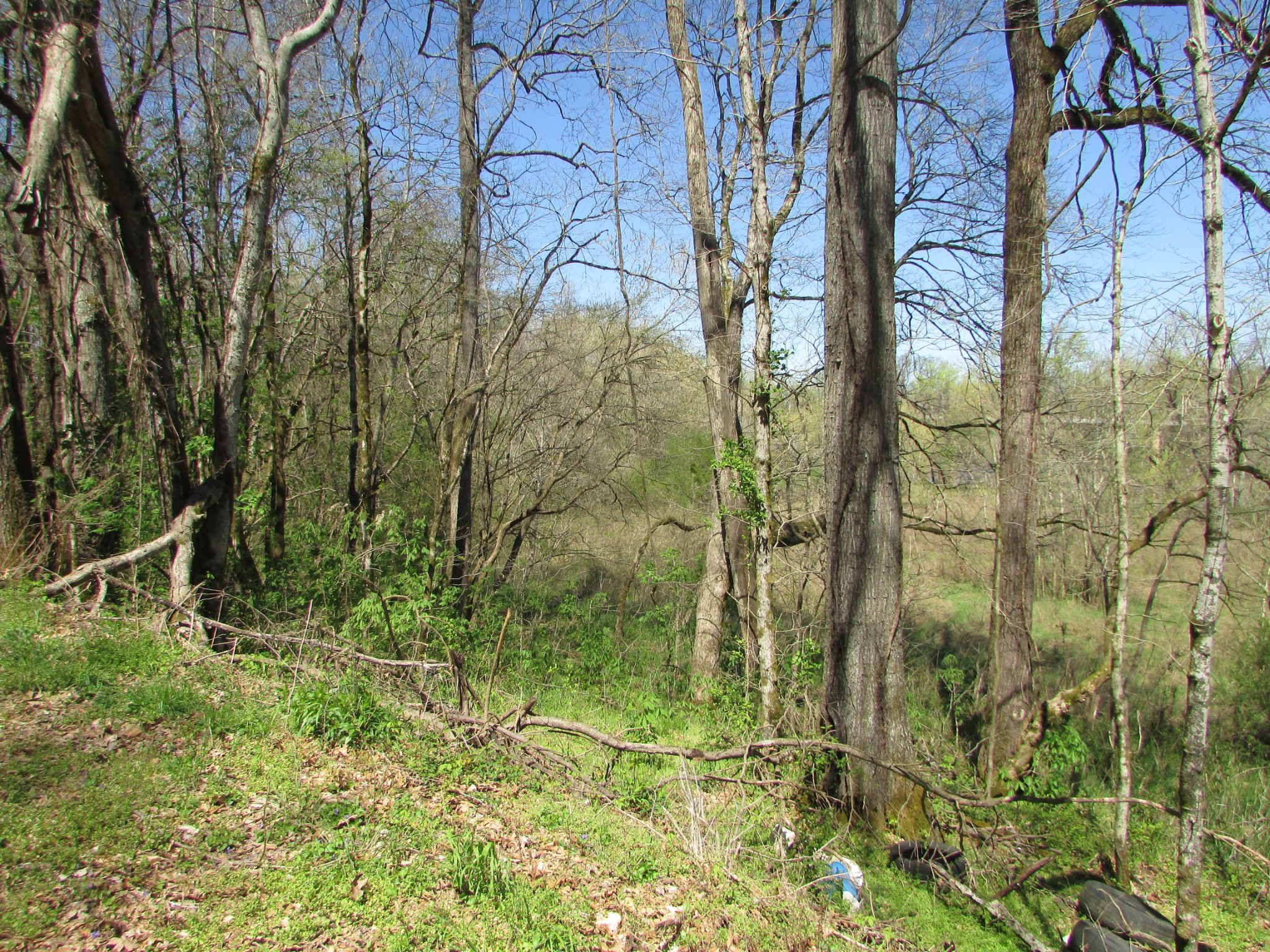0 Mayberry Road Duck River, TN 38454 - Photo 8 of 10 Gallery Image 8