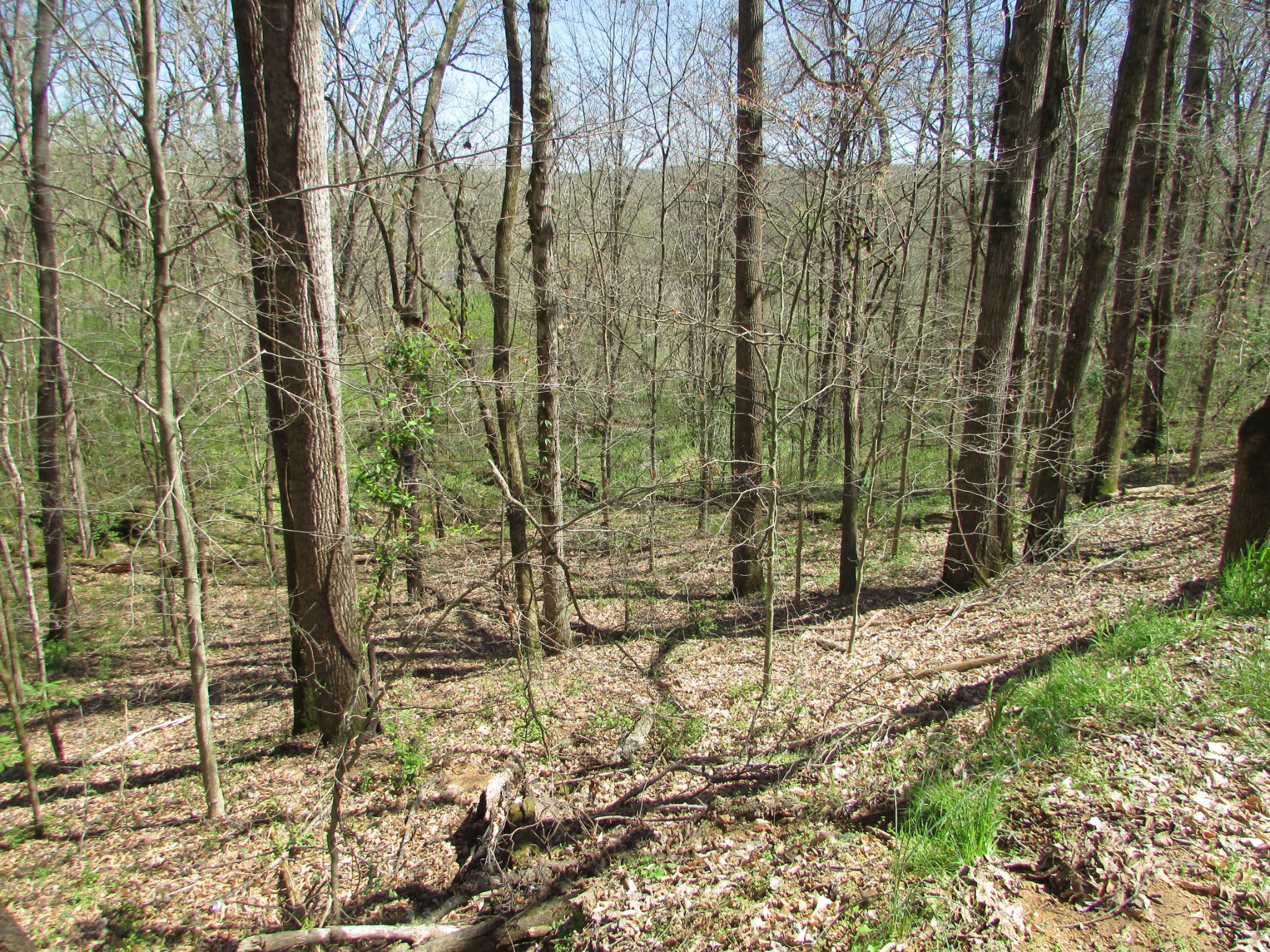 0 Mayberry Road Duck River, TN 38454 - Photo 10 of 10 Gallery Image 10