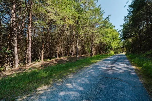 $40,000 | Tbd River Vw Road, Luray, VA 22835