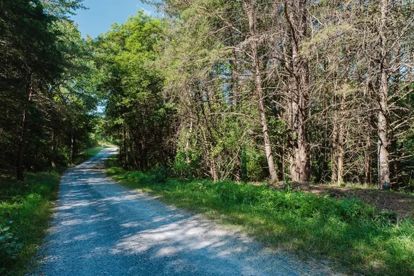 $40,000 | Tbd River Vw Road, Luray, VA 22835