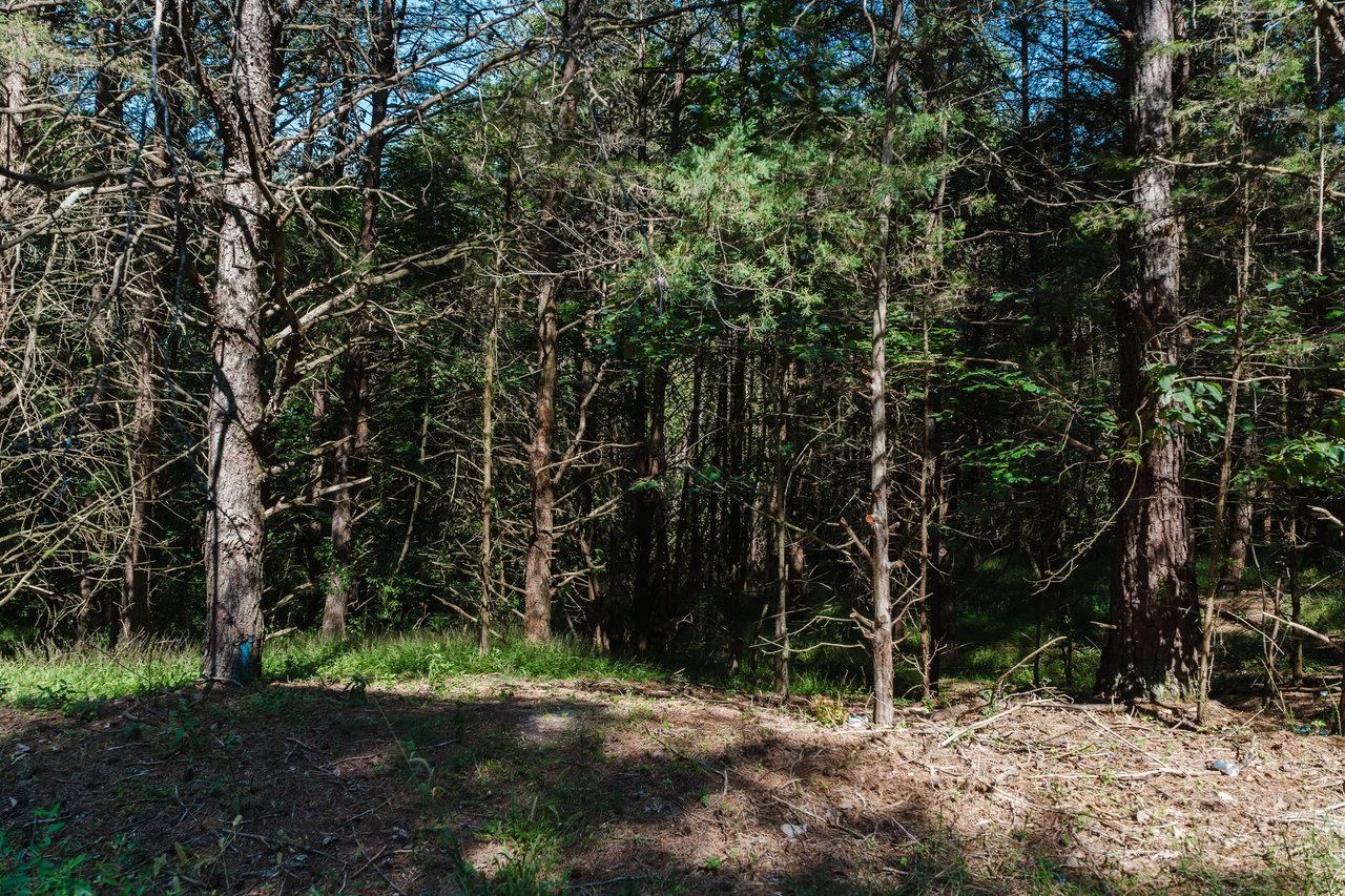 Tbd River Vw Road Luray, VA 22835 - Photo 3 of 15