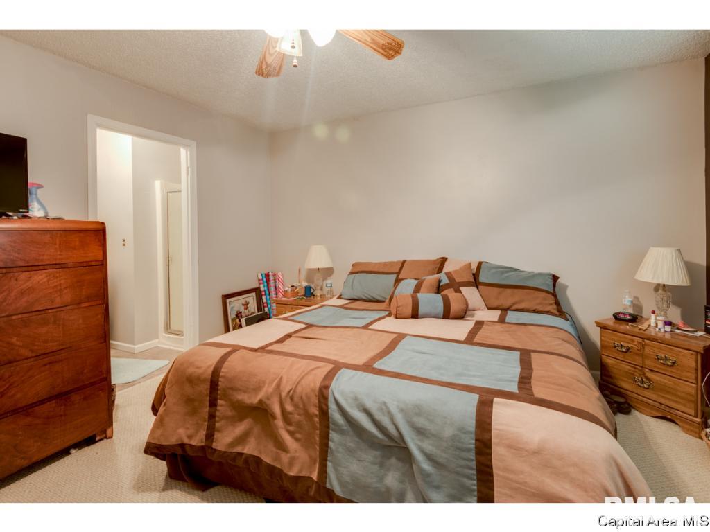 14069 St Joseph Road Athens, IL 62613 - Photo 12 of 30 Gallery Image 12