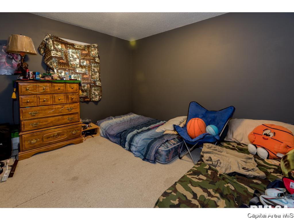 14069 St Joseph Road Athens, IL 62613 - Photo 15 of 30 Gallery Image 15
