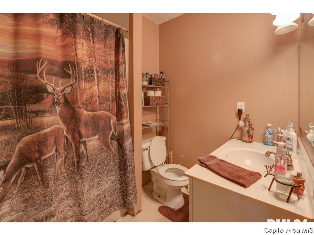 14069 St Joseph Road Athens, IL 62613 - Photo 19 of 30 Gallery Image 19