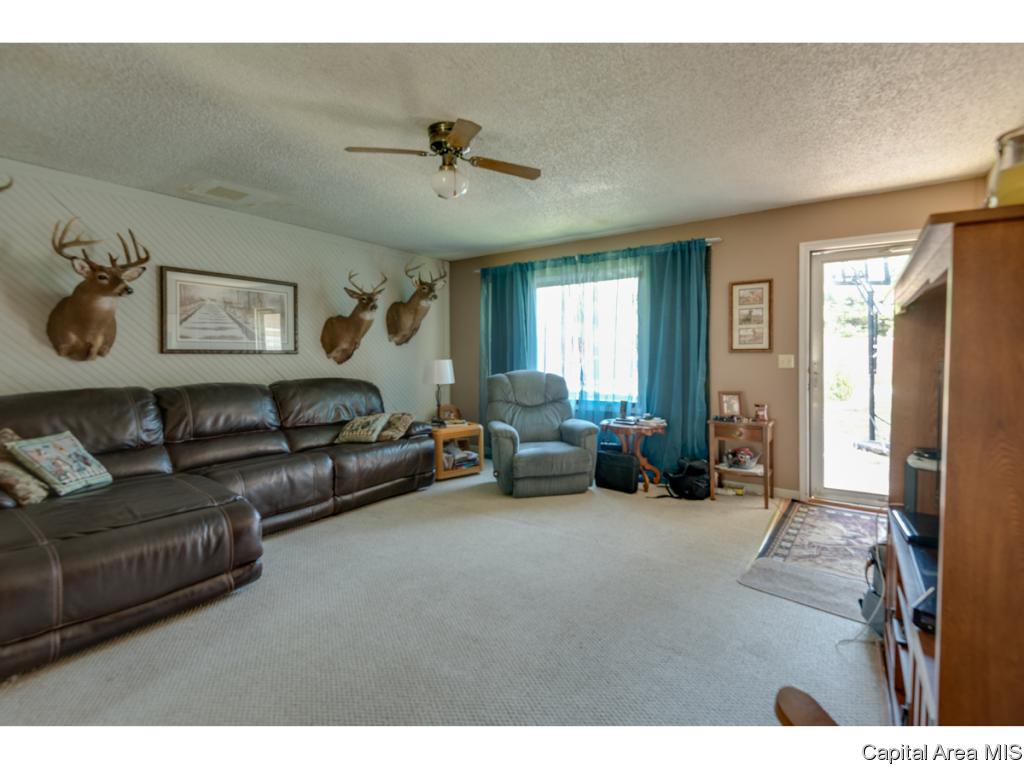 14069 St Joseph Road Athens, IL 62613 - Photo 8 of 30 Gallery Image 8
