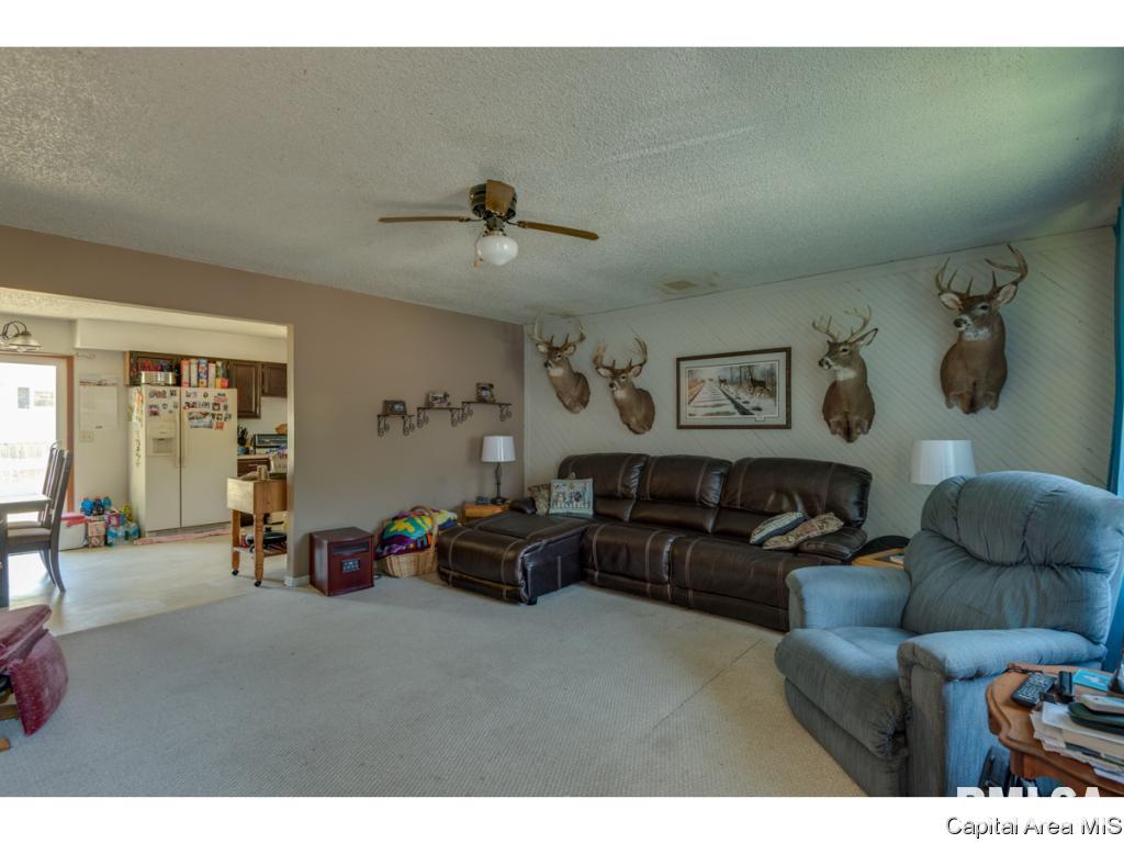 14069 St Joseph Road Athens, IL 62613 - Photo 9 of 30 Gallery Image 9