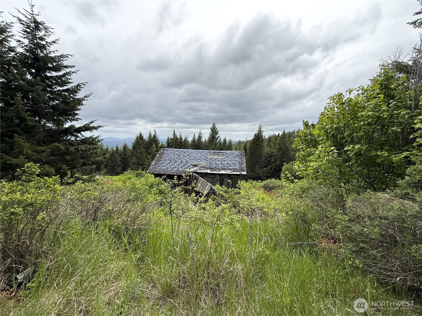 0 Pontiac Ridge Road Oroville, WA 98844 - Photo 9 of 21