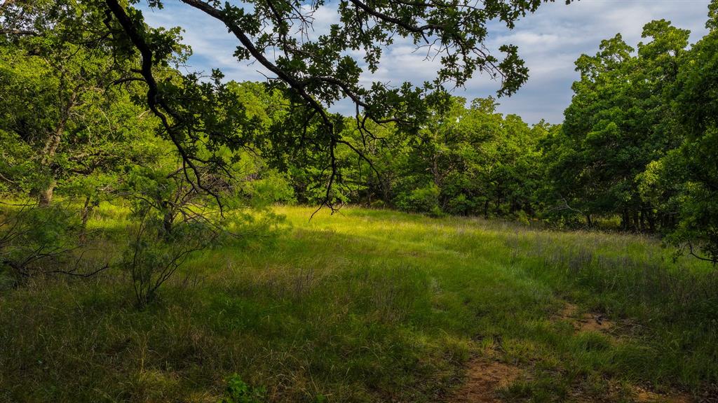 3641 Carpenter Road Nocona, TX 76255 - Photo 14 of 38