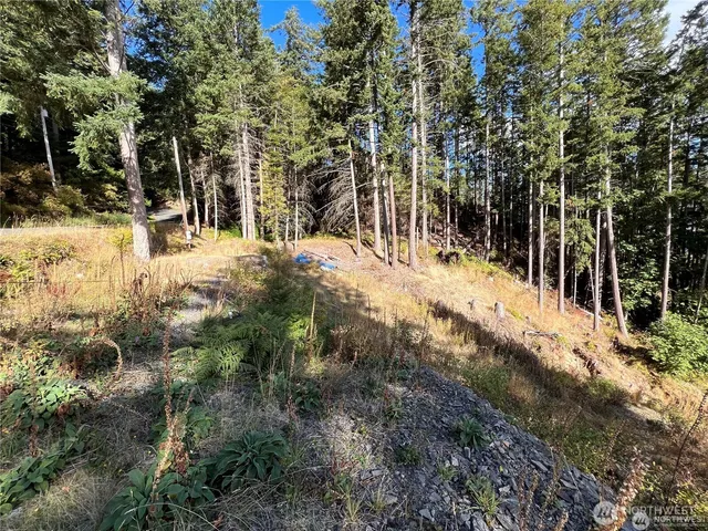 a view of a yard with plants and trees